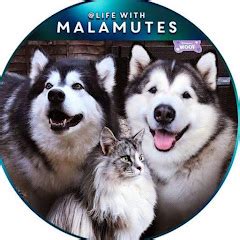 life with malamutes net worth.